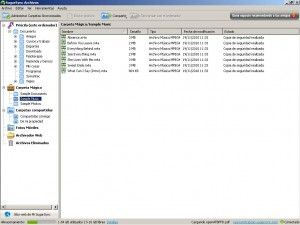 SugarSync 006