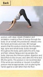 Yoga 007