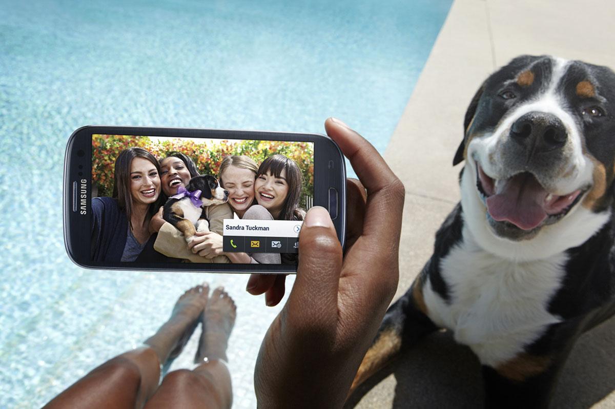 Samsung Galaxy S3 haciendo fotografía a una perro cerca de una piscina