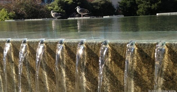 Foto iPhone 5