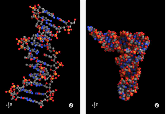 molecules