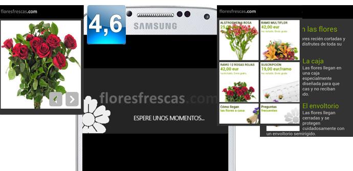 Apertura Floresfrescas.com