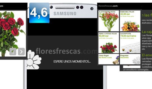Apertura Floresfrescas.com