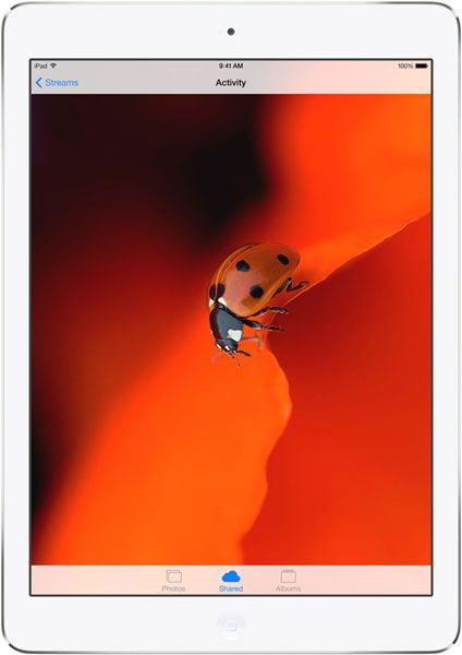 Frontal del iPad Air