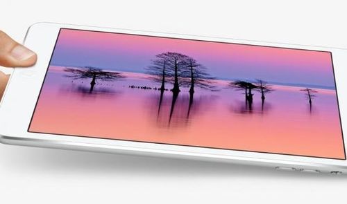 iPad Mini Retina