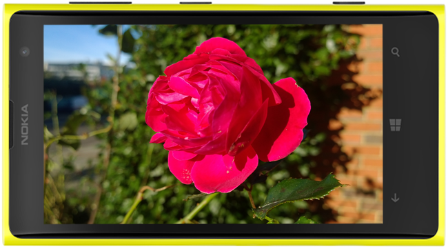 curso lumia macro