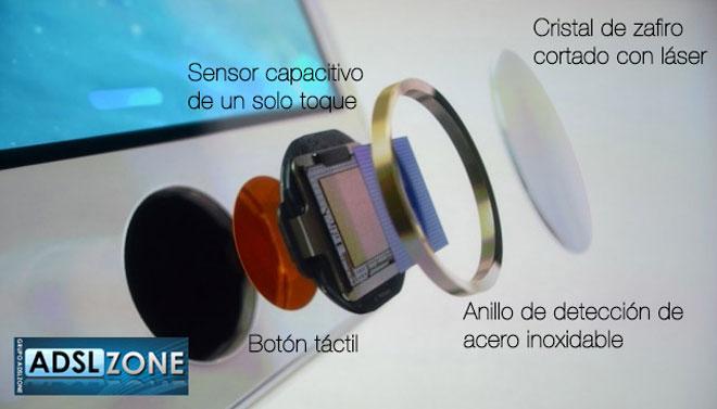 Diferentes partes del sensor Touch iD del iPhone 5s