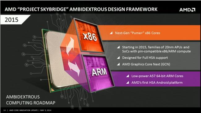 AMD-SoC_Skybridge