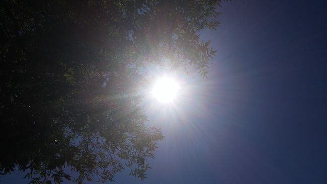 Foto a contraluz del LG G3