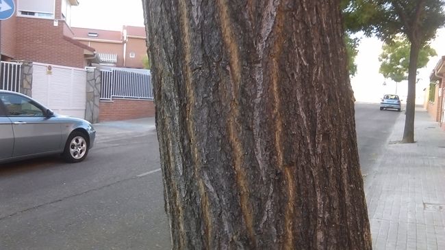 Foto en automático con el HTC Desire 510