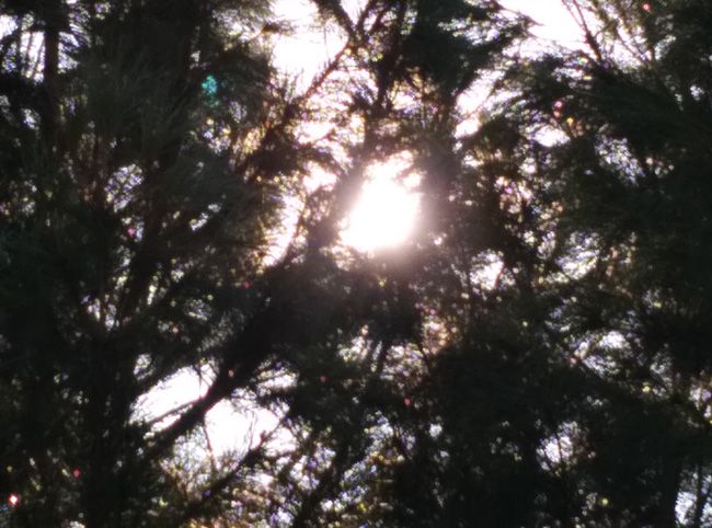Foto con zoom con el Xiaomi Mi4
