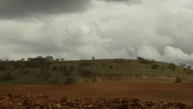 Foto con zoom del HTC One M9