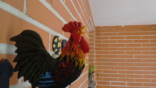 Foto de imagen en fuga del Motorola Moto E (2015)
