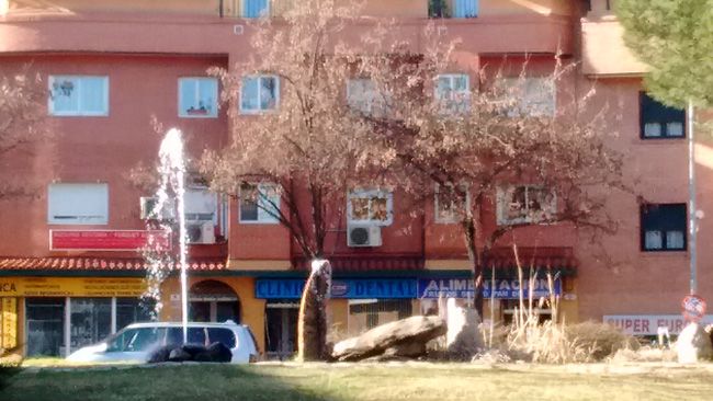 Zoom con el Motorola Moto E (2015)