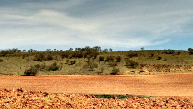 Foto con zoom del Motorola Moto G 4G 2015