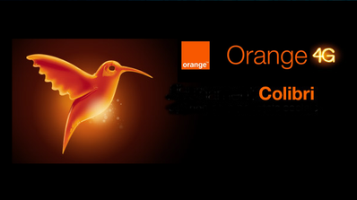 tarifa colibri orange