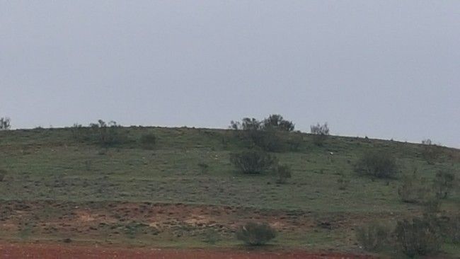 Foto con zoom al máximo del Samsung Galaxy S6 Edge