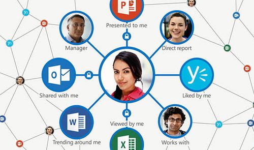 Office Delve