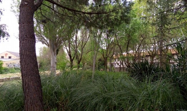 Foto en automático con el Meizu MX4