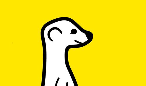 meerkat