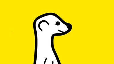 meerkat