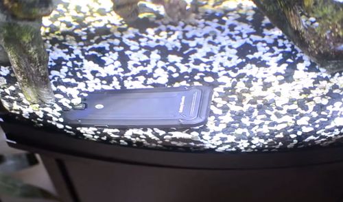 samsung galaxy s6 active pecera