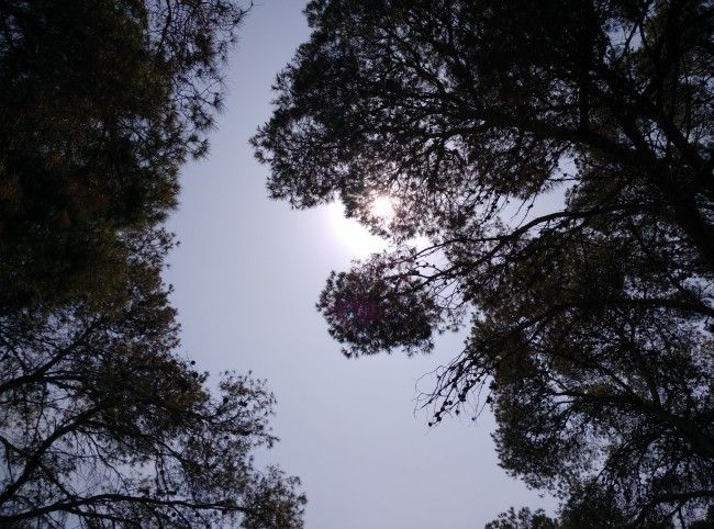 Foto a contraluz con el Xiaomi Mi Note