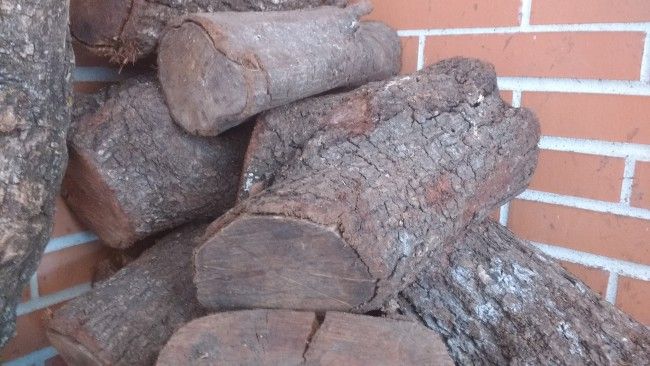 Enfoque variado con el Motorola Moto G 3ª Generación