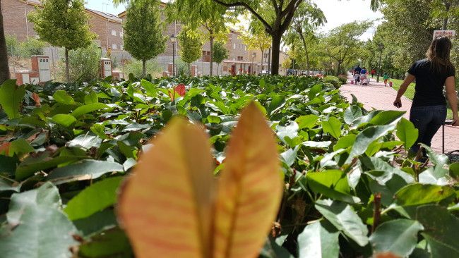 Foto fuga Samsung Galaxy S6 Edge Plus