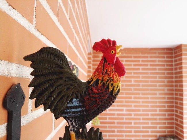 Foto de enfoque con el Huawei Mate S