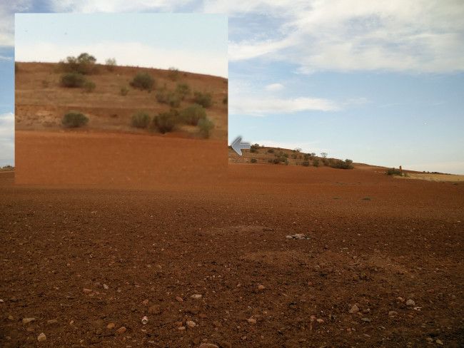 Zoom con la cámara del OnePlus 2