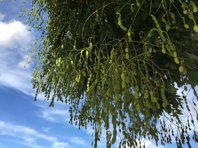 Fotos con varias luces del iPhone 6s Plus