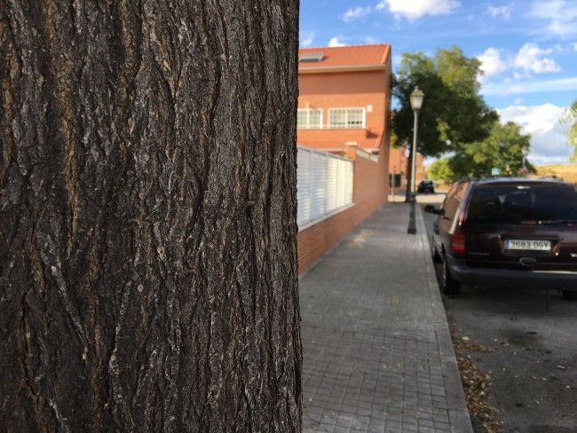 Doble enfoque con el iPhone 6s Plus