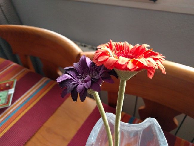 Baja luz del Nexus 5X