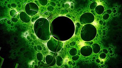Virus para Android