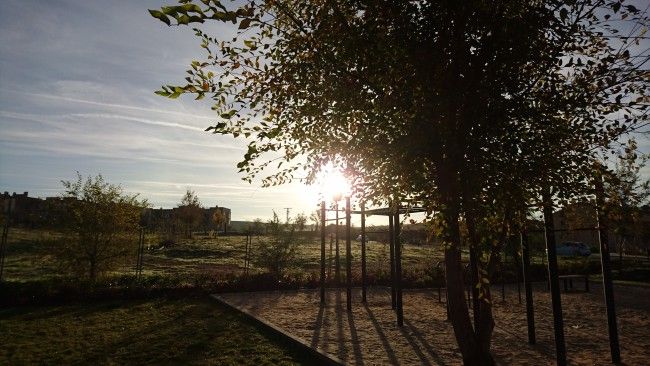 Foto contraluz Sony Xperia Z5 Premium