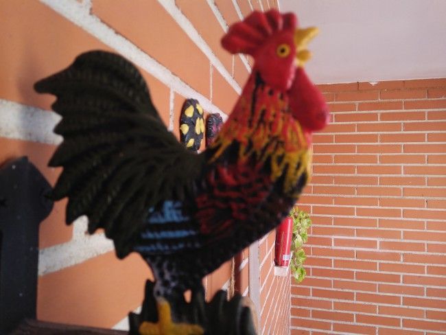 Foto con enfoque lejano del Oppo Mirror 5s