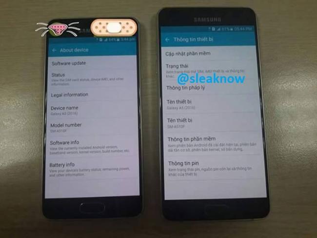 Informacion tecnica sobre los Samsung Galaxy A
