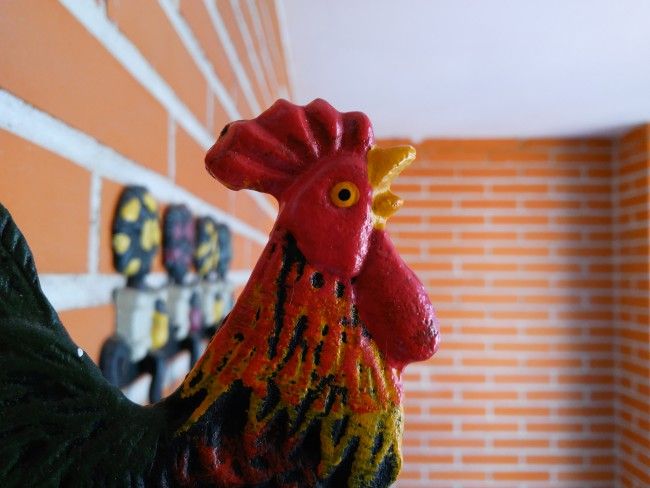 Enfoque cercano con el Zuk Z1