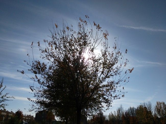Foto en contraluz del Zuk Z1