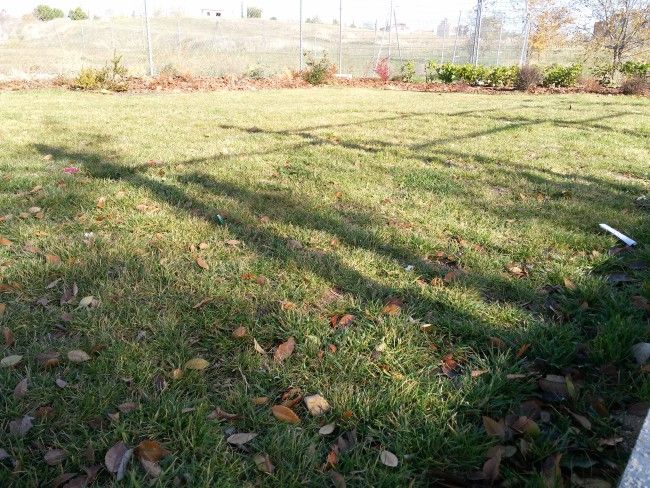 Foto HDR Zuk Z1