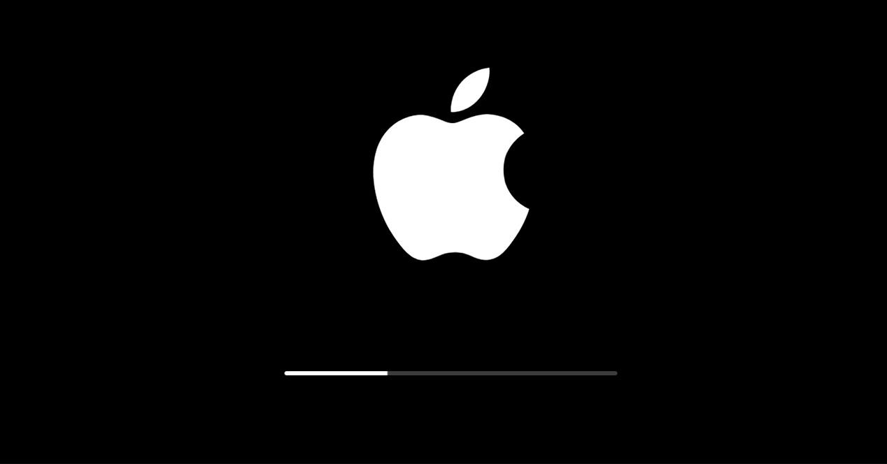 Logo Apple instalacion