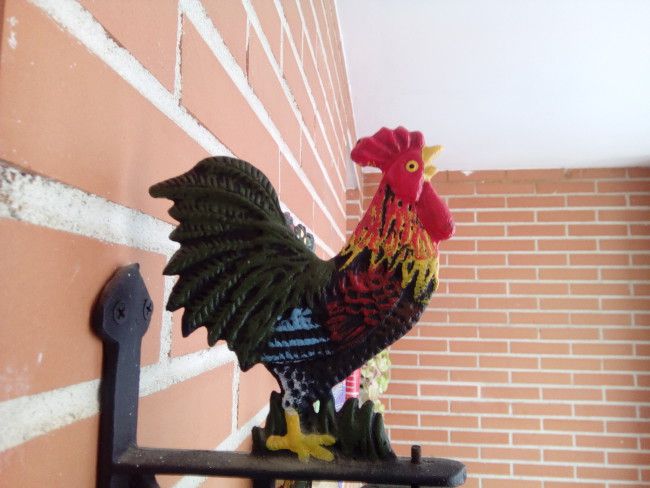 Foto enfoque cercano con el Alcatel OneTouch Pop Star