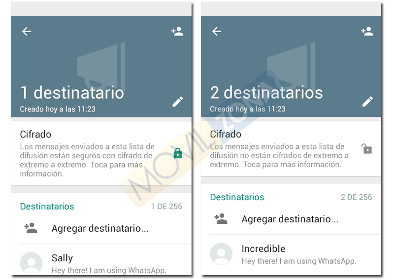 pantallas cifrado whatsapp