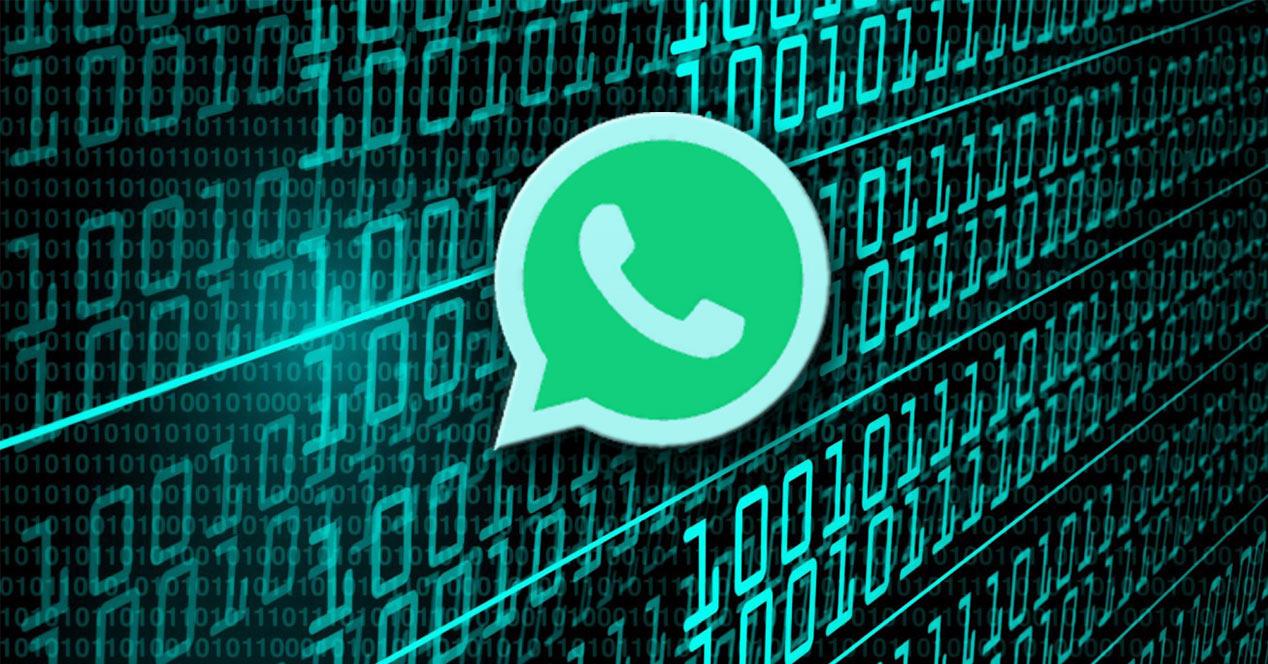 Activar cifrado WhatsApp
