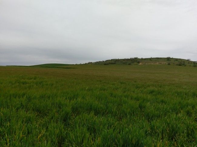Foto de paisaje del HTC 10