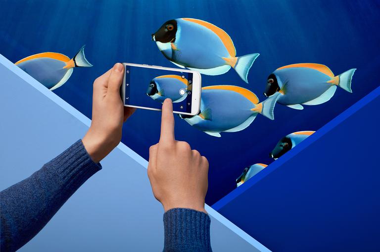 Motorola Moto G4 con peces