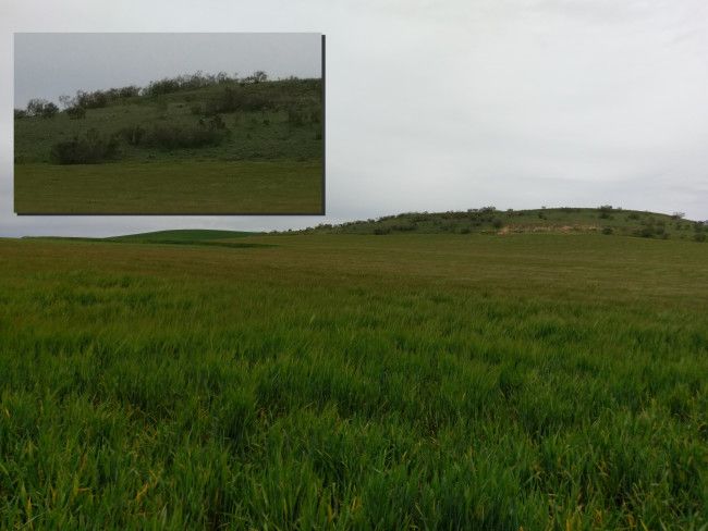 Ejemplo Zoom con el HTC 10