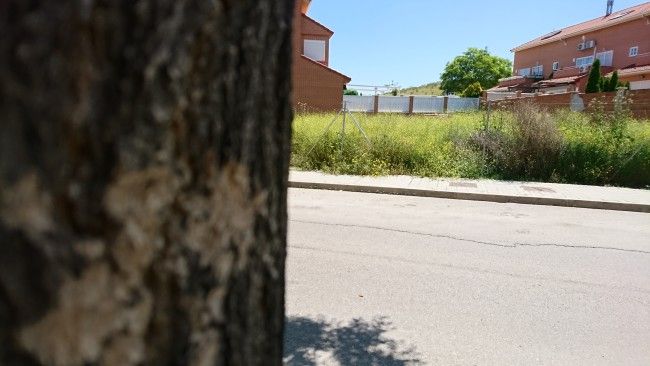 Dos enfoque con la cámara del Sony Xperia X