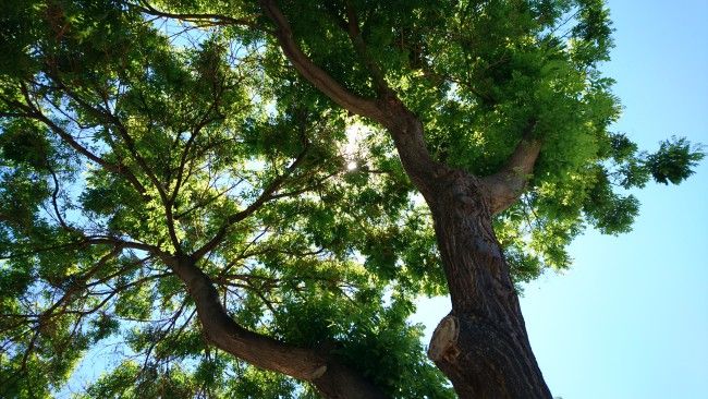 Foto a contraluz con el Sony Xperia X
